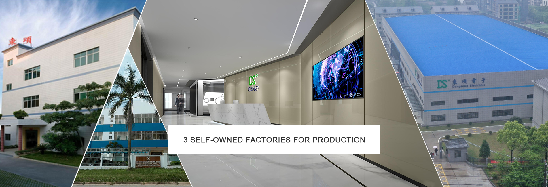 dongguan-dongsong-electronic-co-ltd